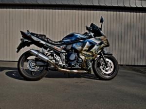 Suzuki GSX 1250