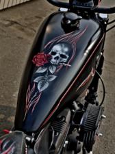 Sportster